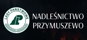 Lasy Państwowe - Nadleśnictwo Przymuszewo